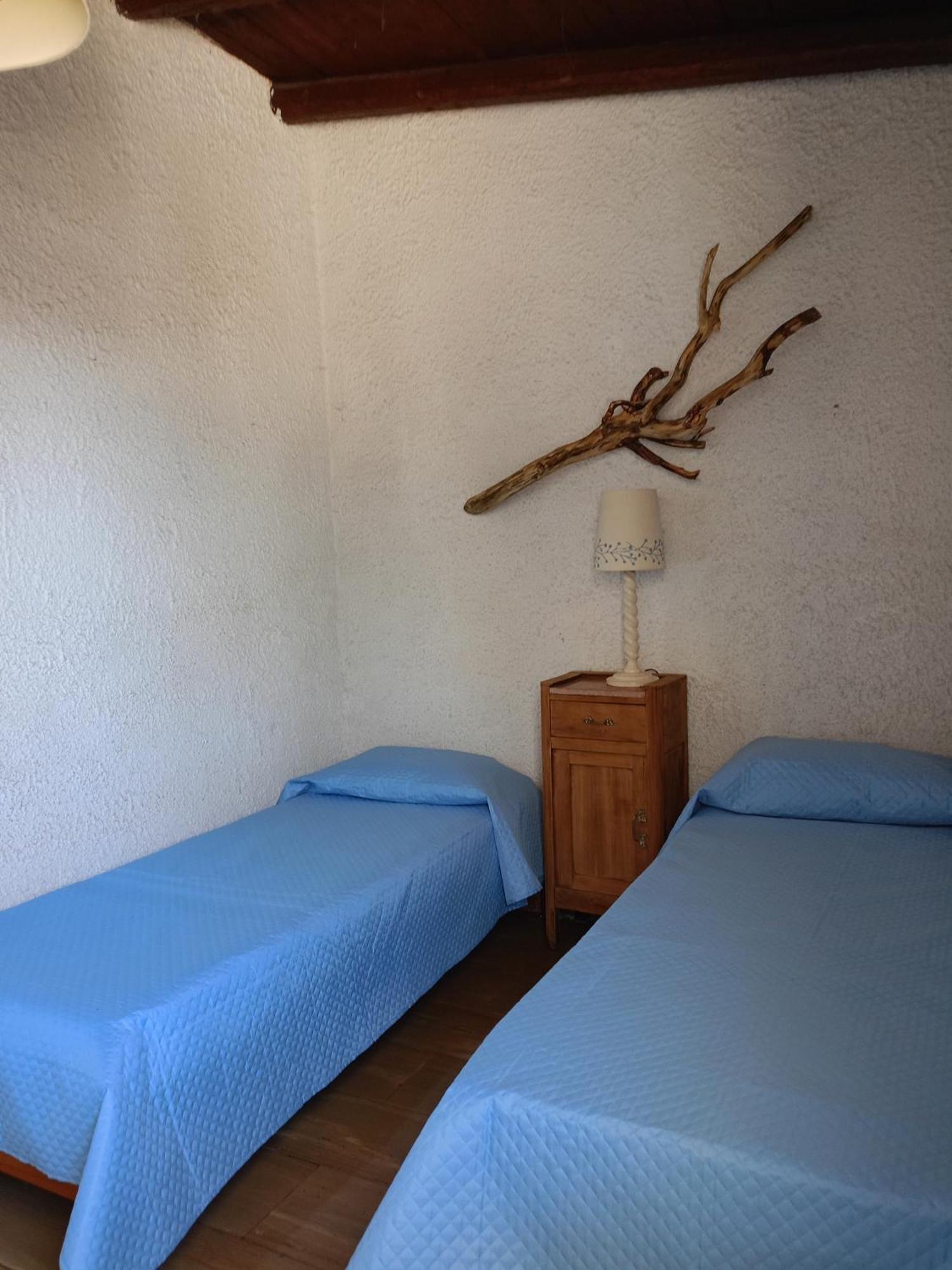 Apartament Blu Angel Lido dei Pini Zewnętrze zdjęcie