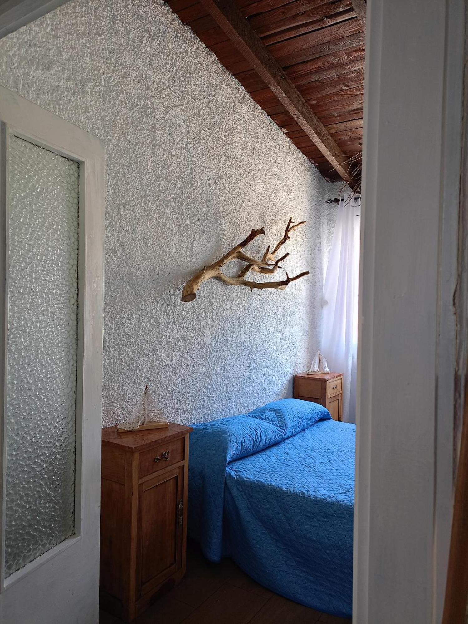 Apartament Blu Angel Lido dei Pini Zewnętrze zdjęcie