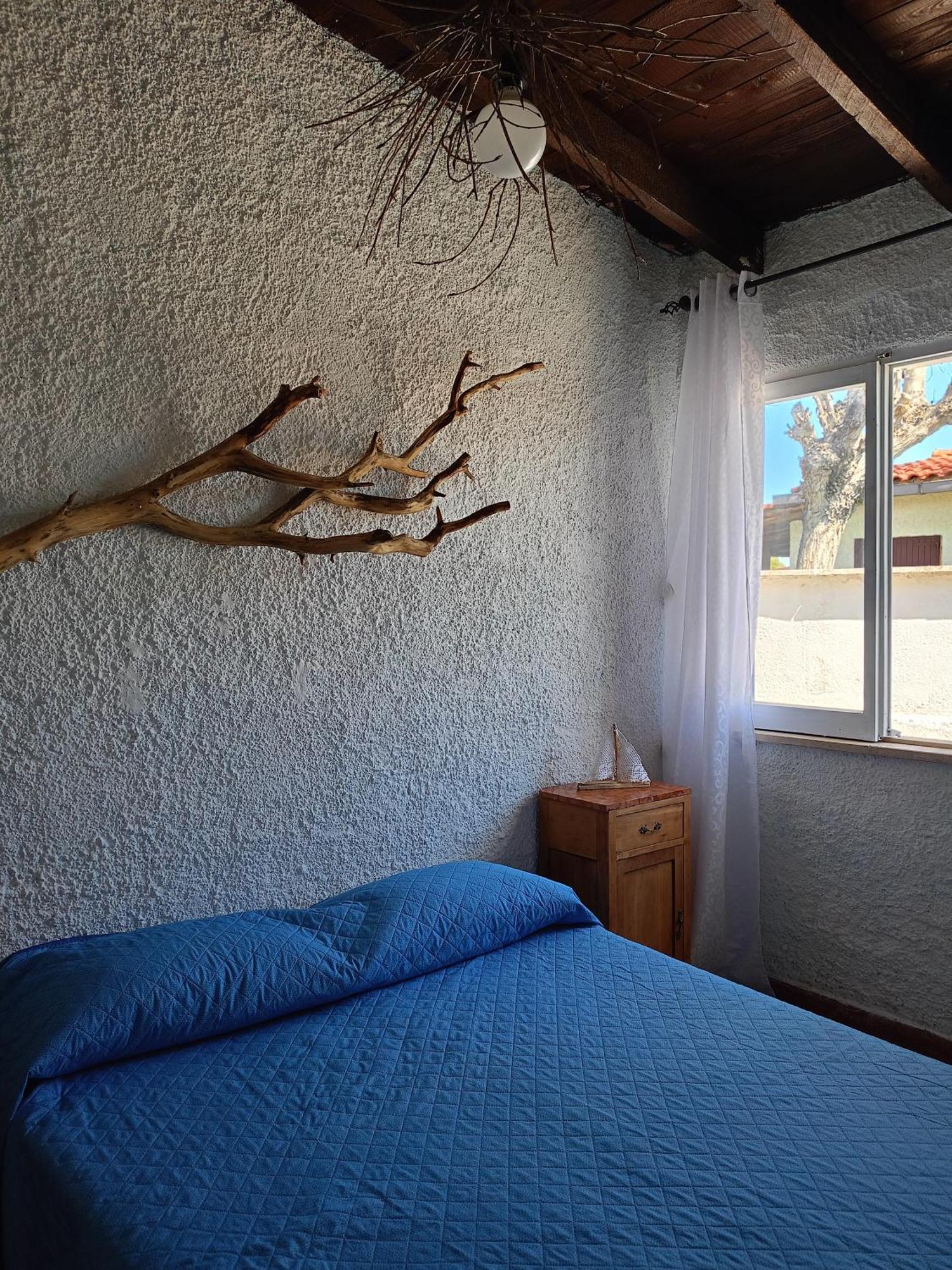 Apartament Blu Angel Lido dei Pini Zewnętrze zdjęcie