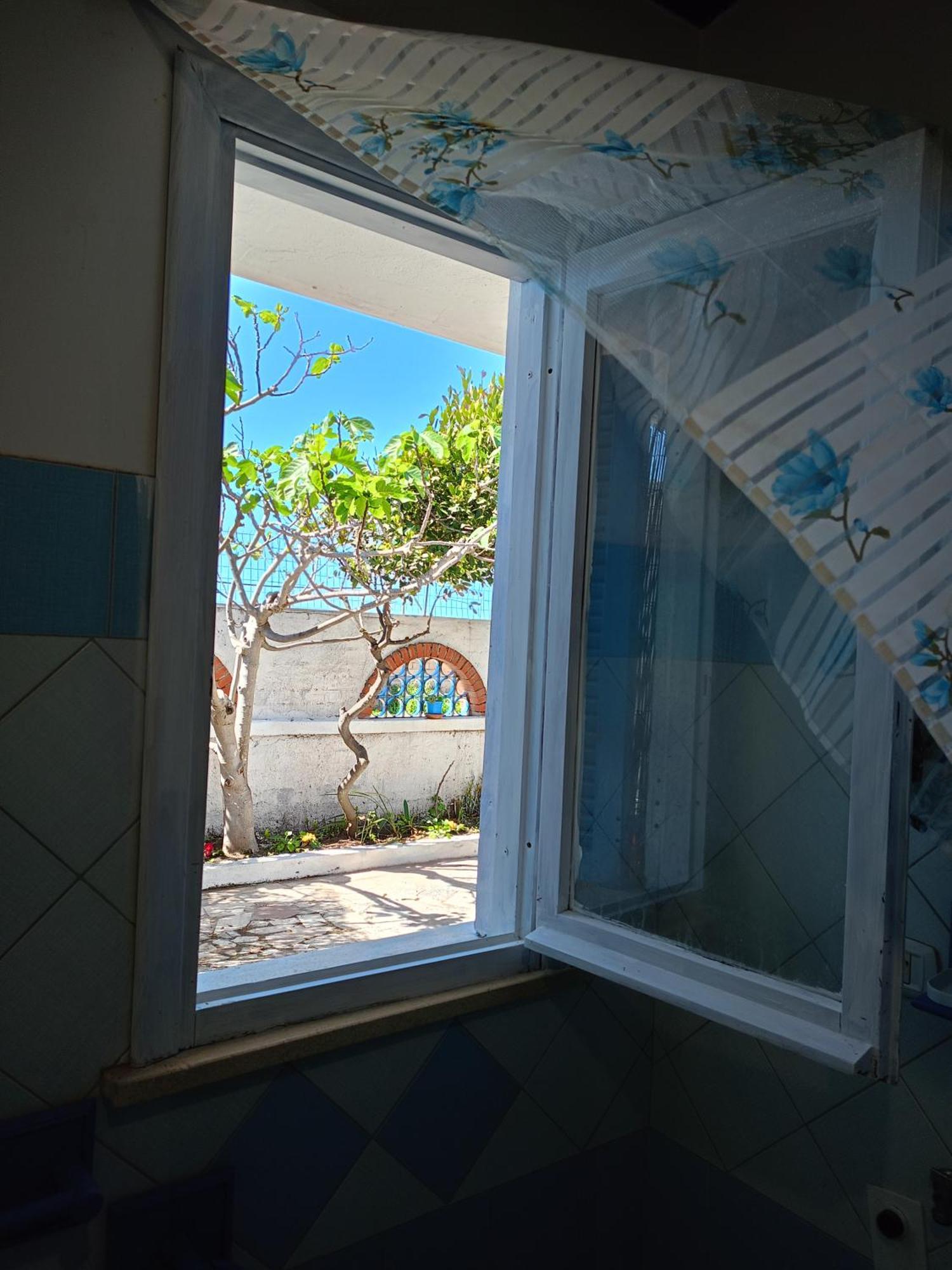Apartament Blu Angel Lido dei Pini Zewnętrze zdjęcie