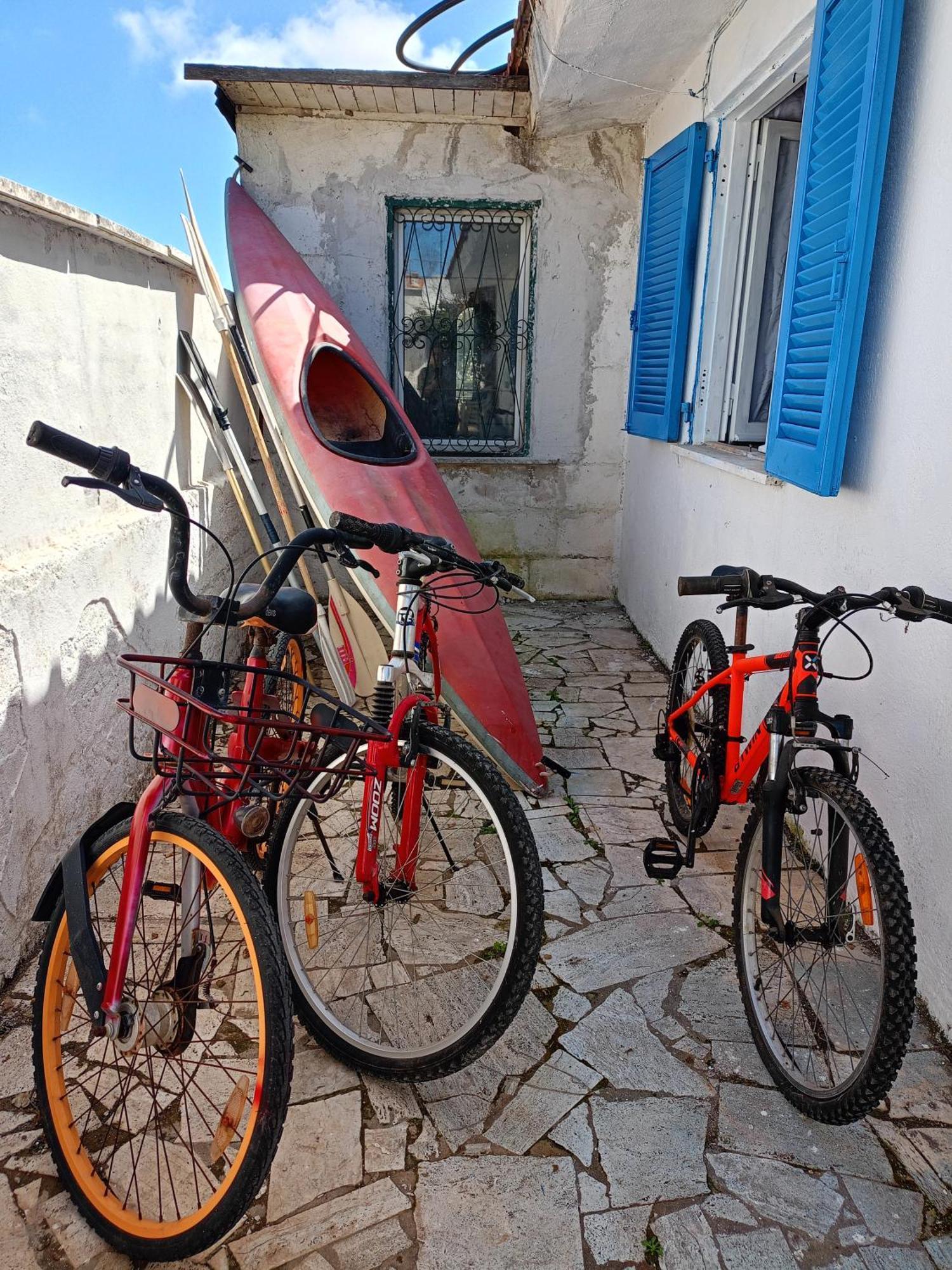 Apartament Blu Angel Lido dei Pini Zewnętrze zdjęcie